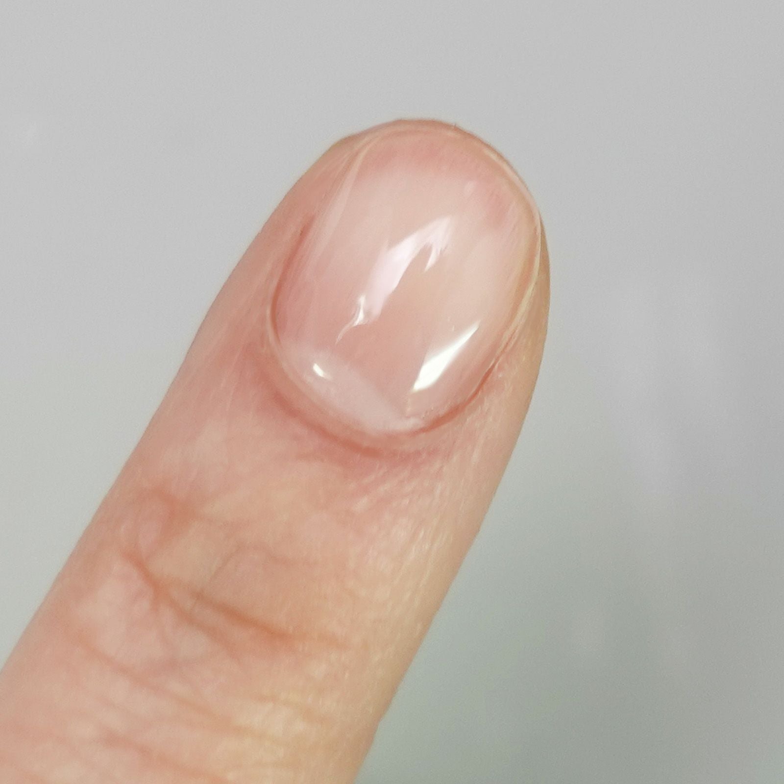 ノンワイプトップジェル15g GEL-001[ハピジェル][B7-7] | 【サルル