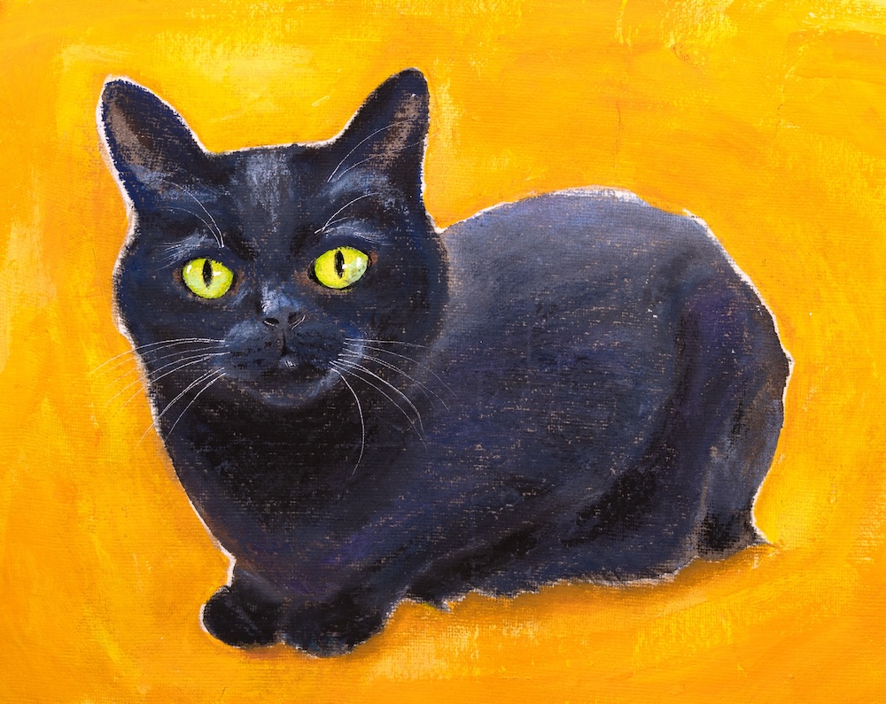 黒猫モモ（オリジナル） - 吉田ユウスケ｜絵の具とパステルの