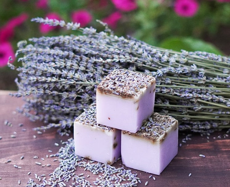 Natural Handmade Soap – Sweet Zzz Official