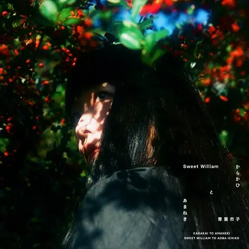 Sweet William と 青葉市子商品一覧｜JAPANESE ROCK・POPS / INDIES