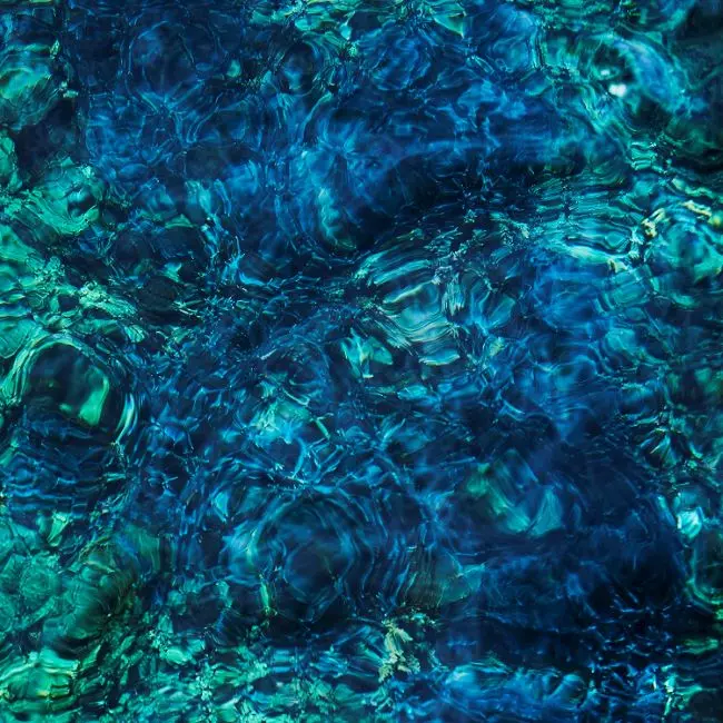 Luminescent Creatures/ICHIKO AOBA/青葉市子/通常盤 / シングル