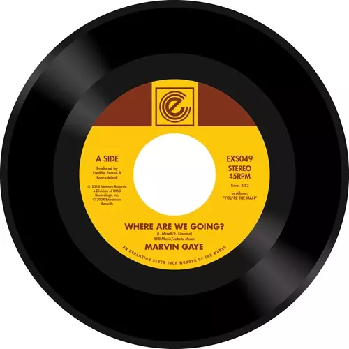 MARVIN GAYE / マーヴィン・ゲイ商品一覧｜SOUL / BLUES｜ディスク