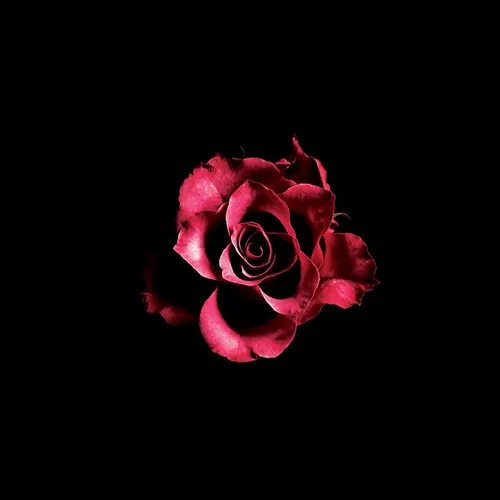 XL MIDDLETON商品一覧｜HIPHOP / 日本語RAP｜ディスクユニオン