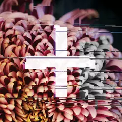 FOREIGN EXCHANGE / フォーリン・エクスチェンジ商品一覧｜JAZZ