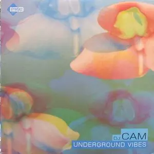 UNDERGROUND VIBES /DJ CAM/DJカム｜CLUB/DANCE｜ディスクユニオン