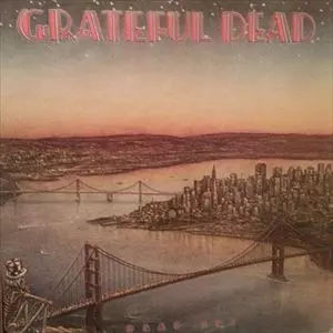 DEAD SET/GRATEFUL DEAD/グレイトフル・デッド｜OLD ROCK｜ディスク