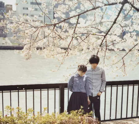 サニーデイ・サービス BEST 1995-2000/Sunny Day Service/サニーデイ