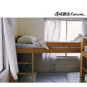 TOUMING MAGAZINE / 透明雑誌商品一覧｜ディスクユニオン・オンライン