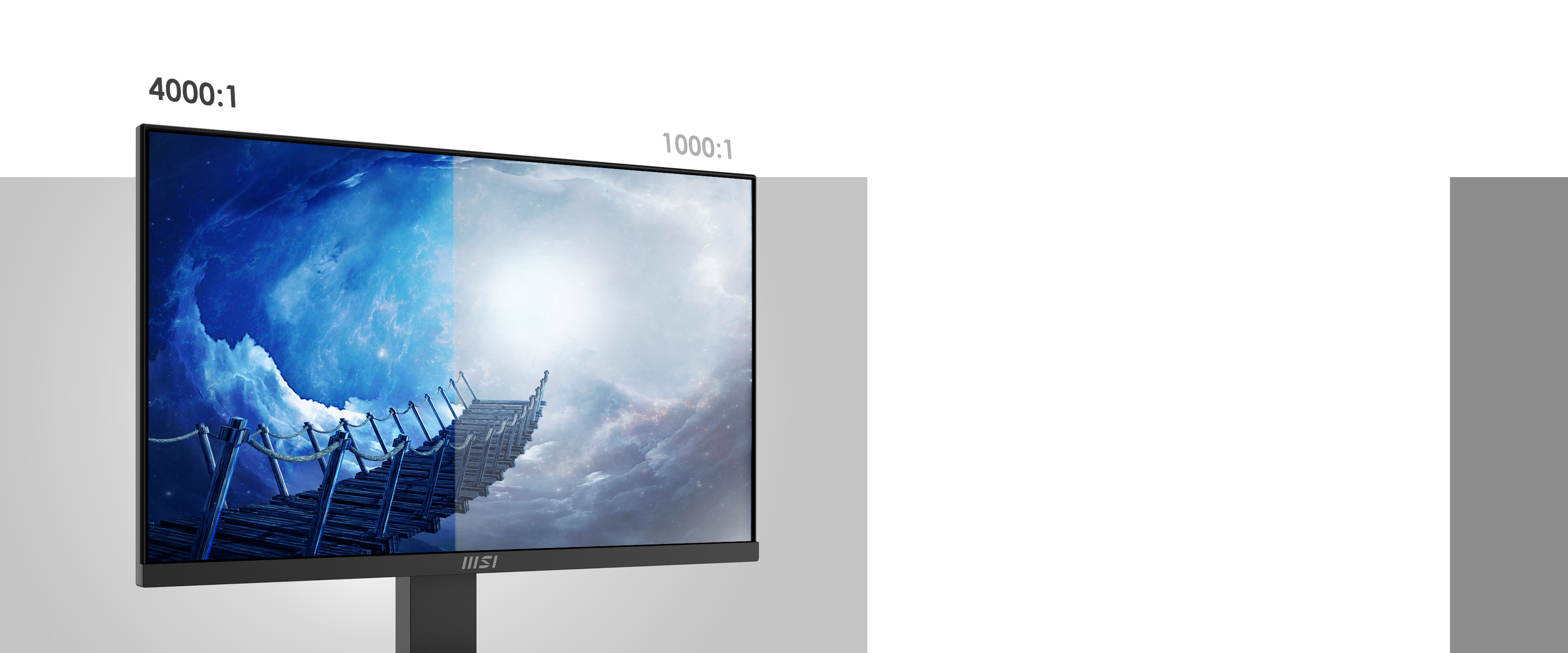 PRO MP2412 | Professional Business Monitor for Work and Home | MSI