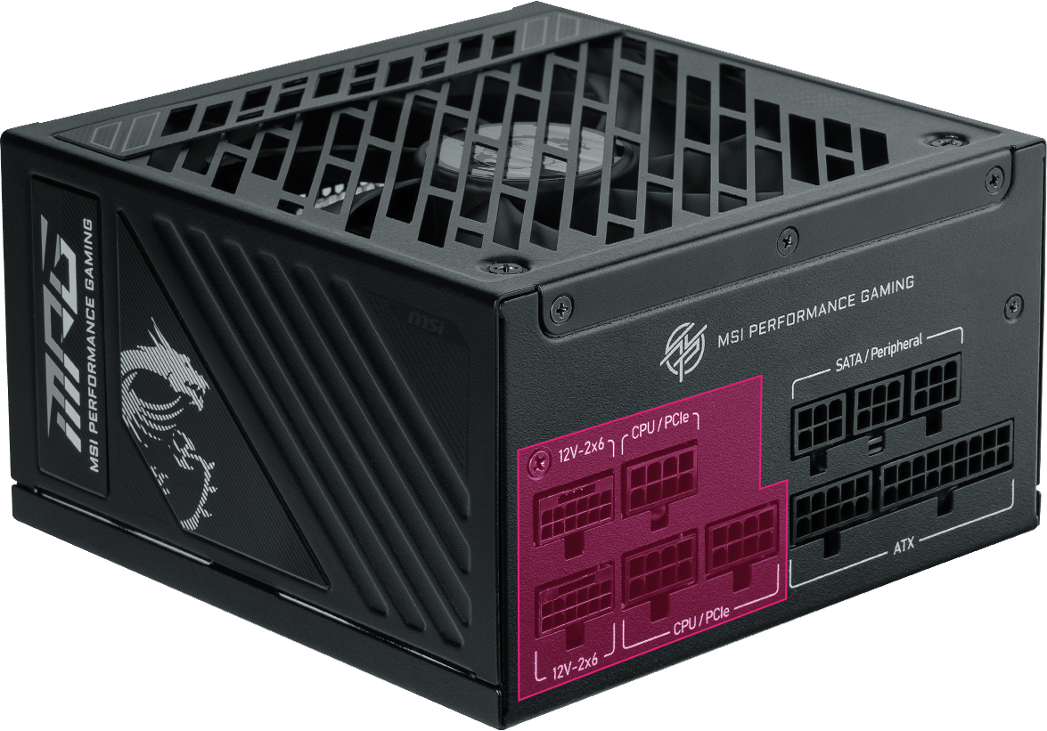 MPG A1000GS PCIE5 | Power Supply｜MSI