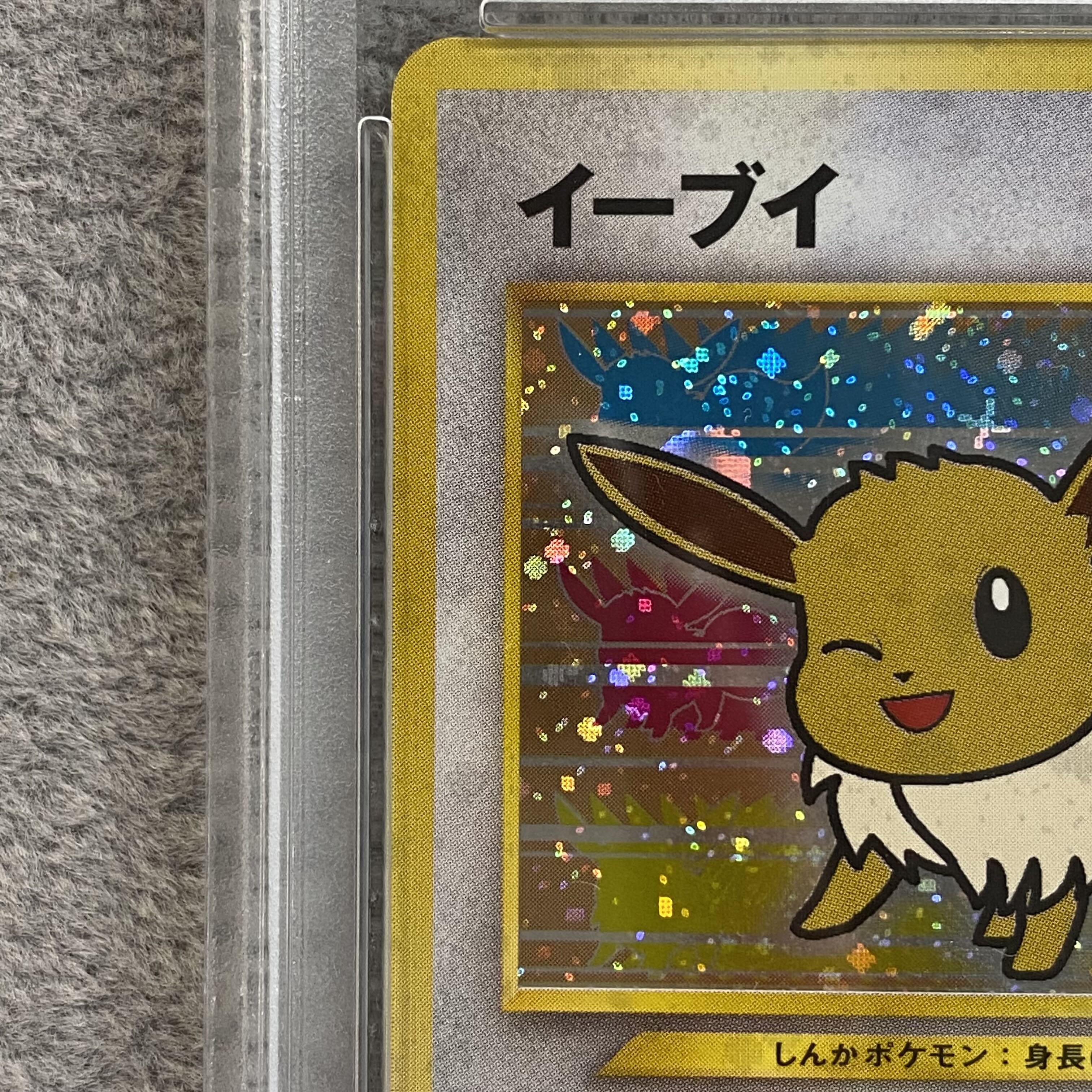 PSA9】イーブイ ポケモンファンクラブ特製カード 旧裏 PROMO 1枚の通販