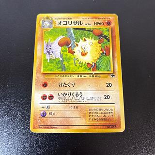 サザンアイランド」の激安通販 | magi