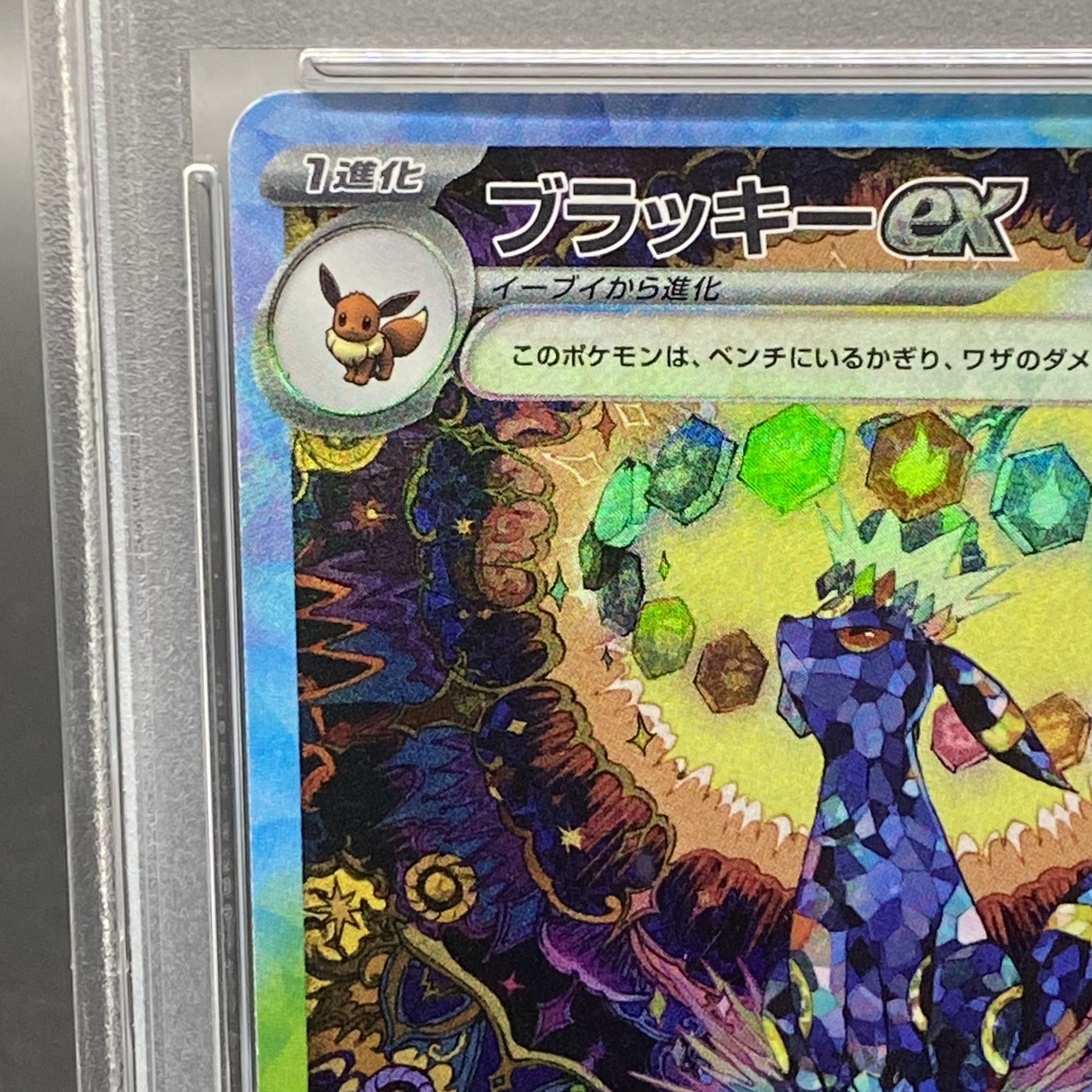 PSA10】ブラッキーex SAR 217/187 1枚の通販 土日祝休@magi公式