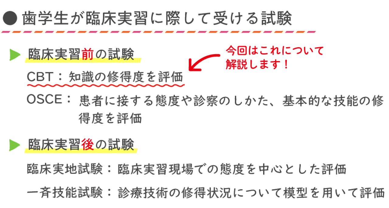 歯科系CBTのキホンを解説！ 試験形式、出題範囲、対策のポイントなどを