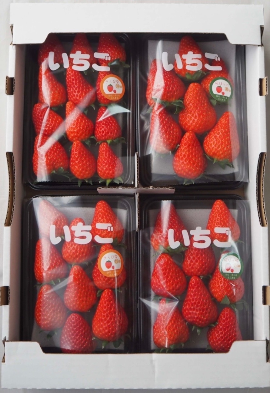 食べ比べ】朝採り完熟いちご！静岡県限定品種『きらぴ香』2Pと『紅