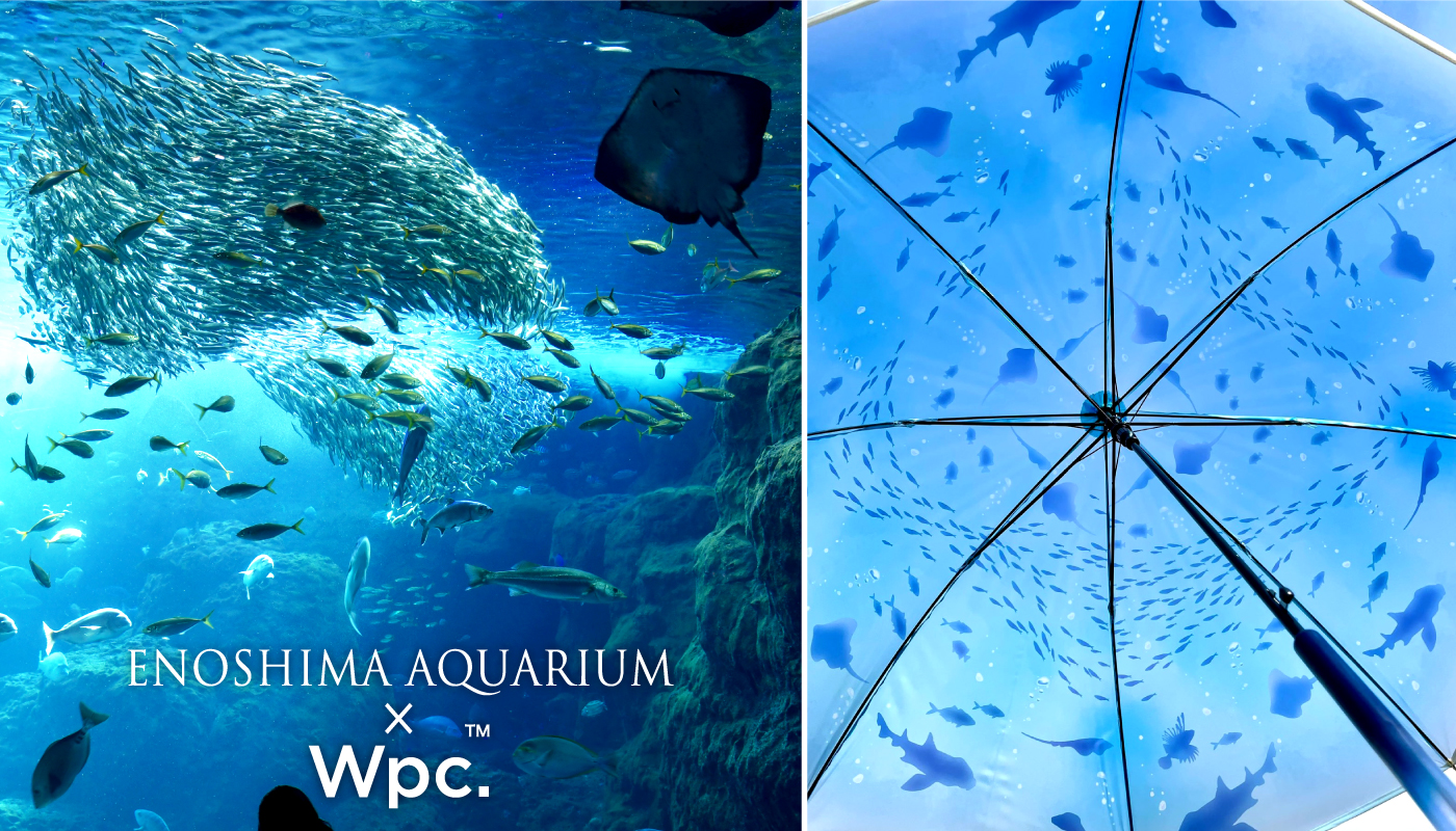 新江ノ島水族館×Wpc.初コラボ！おはよう、大水槽アンブレラ&おやすみ