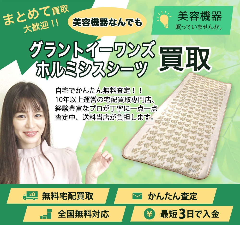 グラントイーワンズ ホルミーシーツ シングル100×200サイズ 値下げ