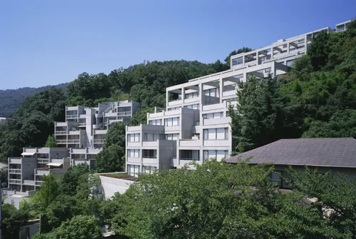 Google Arts and Culture 、安藤忠雄の特集ページ「The Self Taught