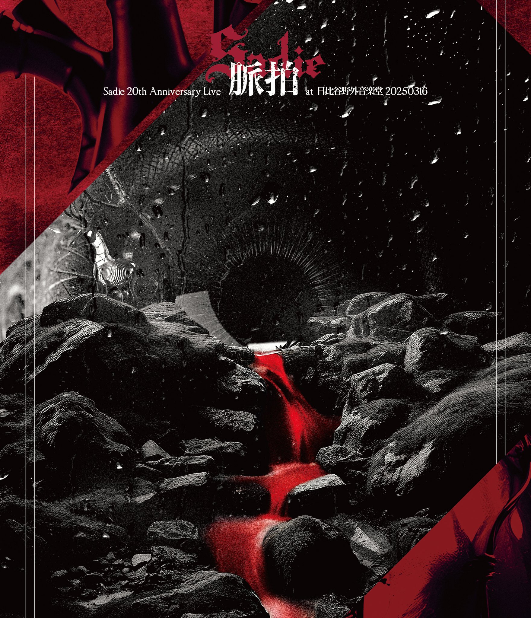 12月24日(水)発売 Sadie「Sadie 20th Anniversary Live「脈拍」at