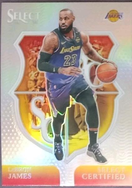 LeBron James [Silver Prizm] #5 Prices | 2024 Panini Select