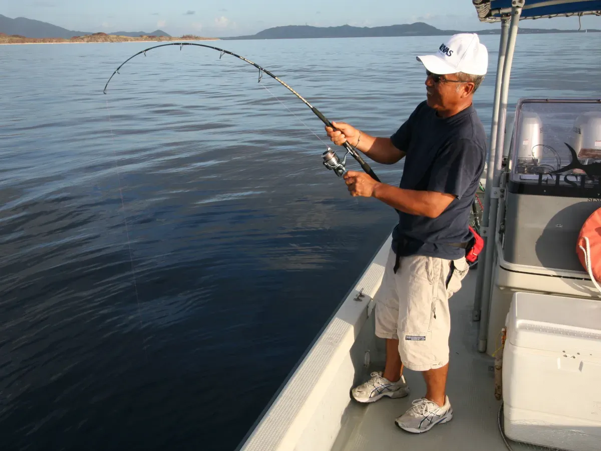 YELLOWTAIL DJ 1piece