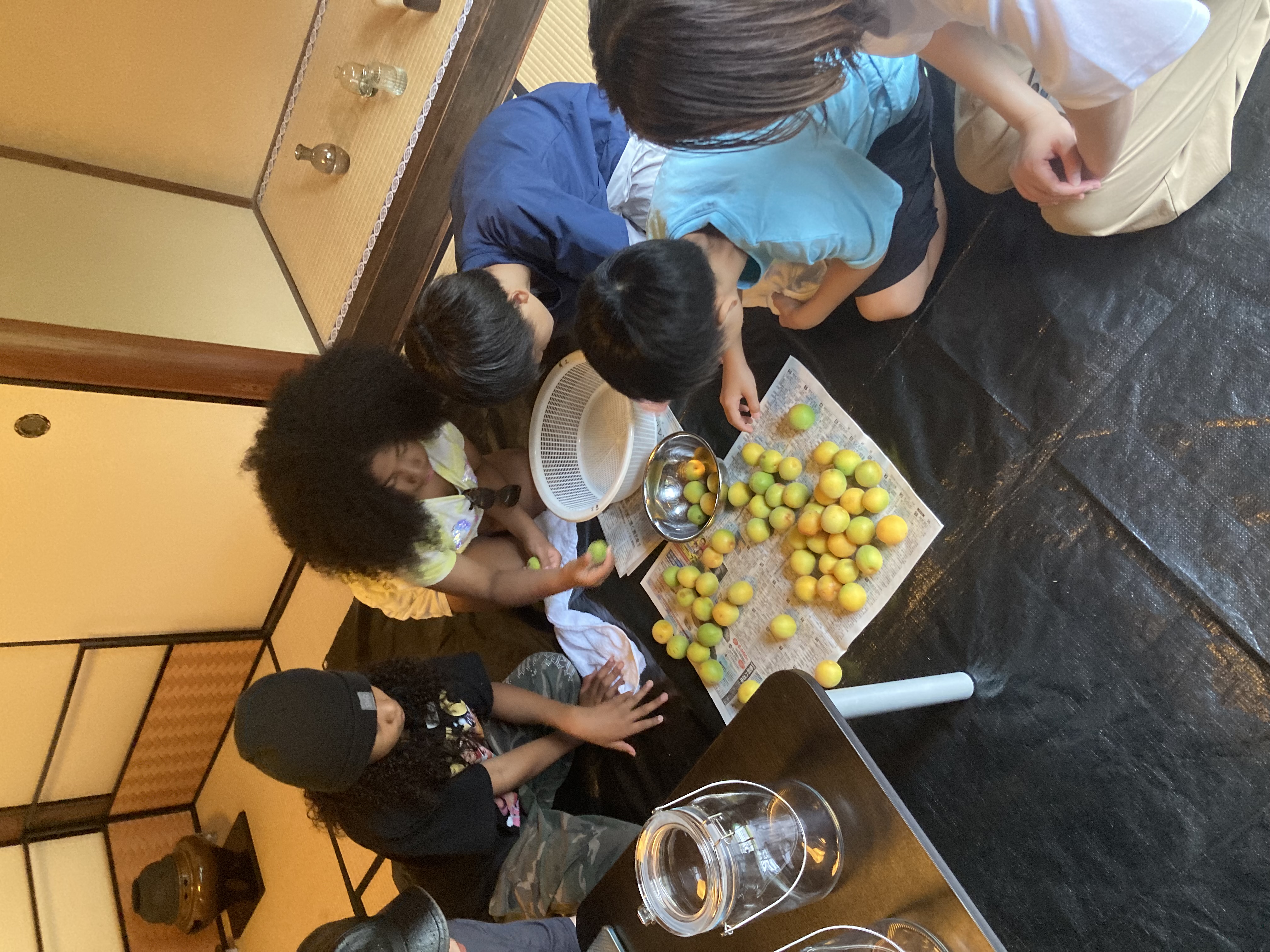 松香庵 第2回茶花園芸部を開催しました |アーバンデザインセンター宇治