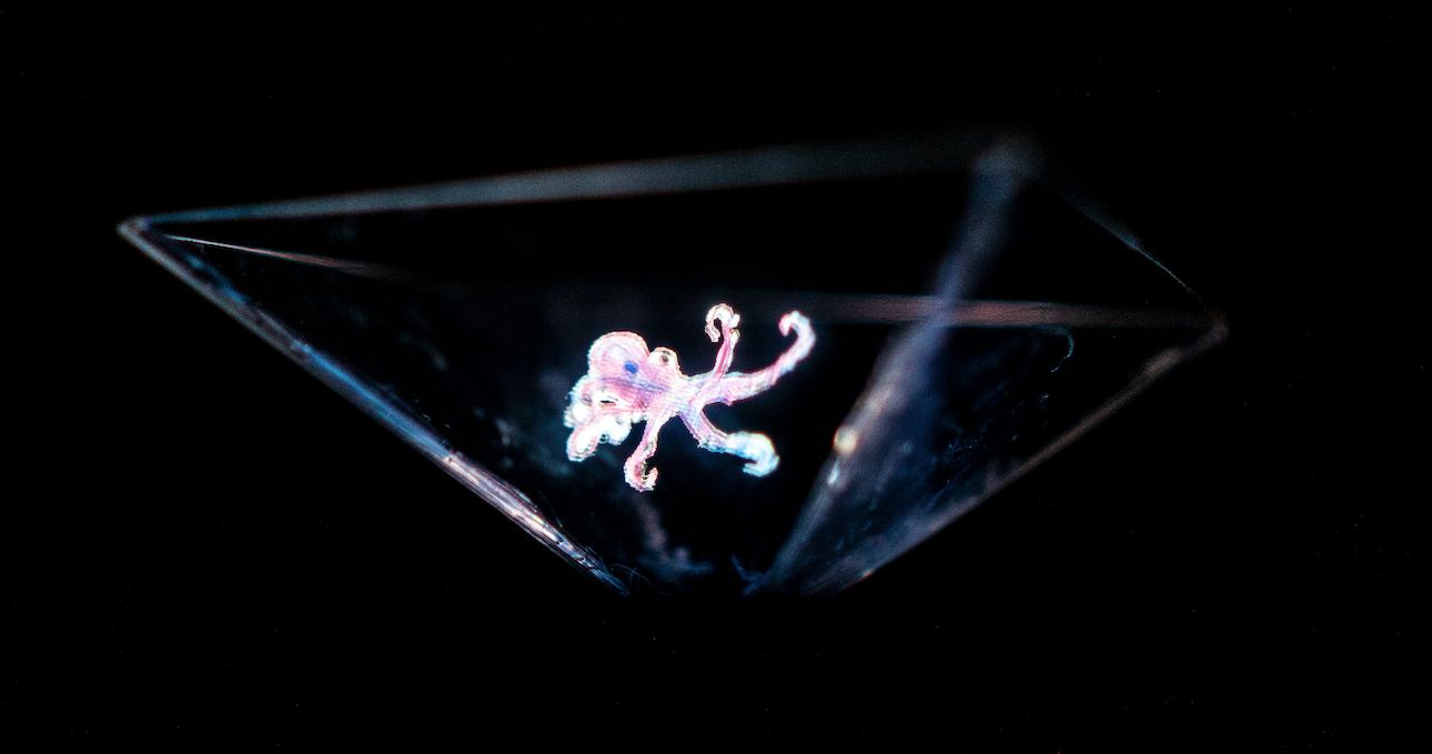 とびだす！お絵描き！ 自分の描いた絵で3Dホログラムを作ってみよう