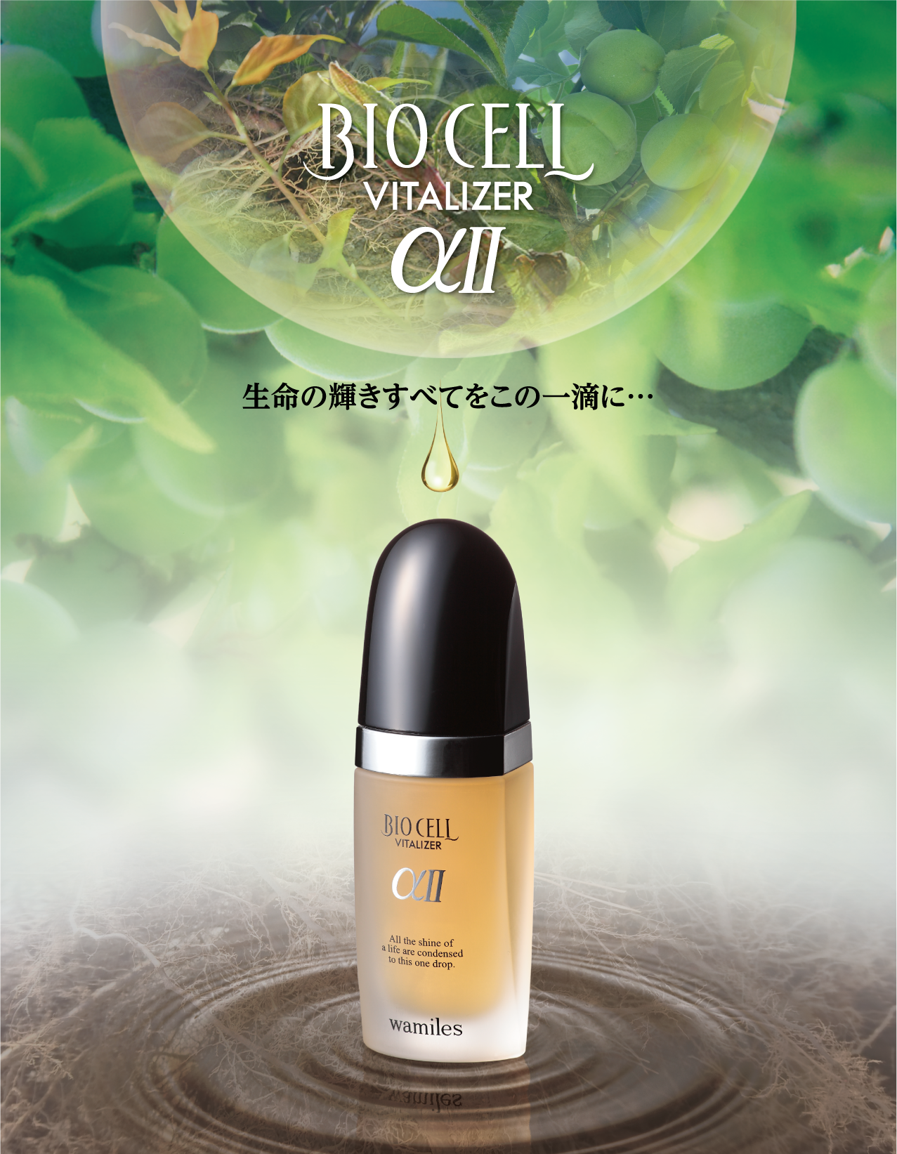 ☆ ご注文はコメントから│ワミレス イオーヌクリーム2 &ローション2