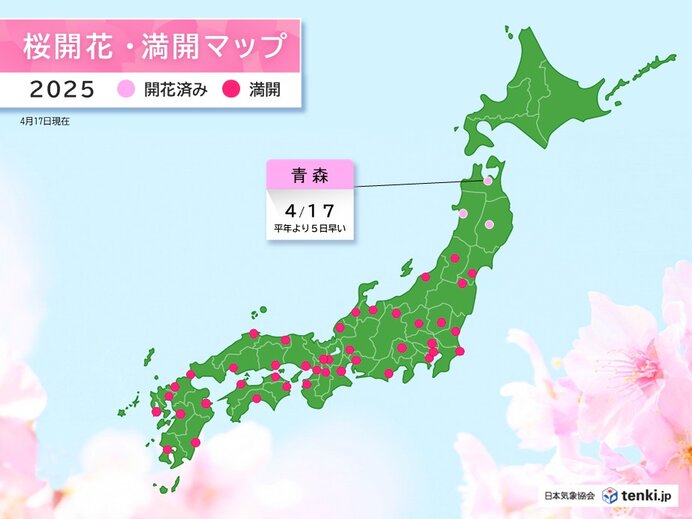 本州最北端 青森で桜が開花 平年より5日早く 来週は桜前線が北海道へ