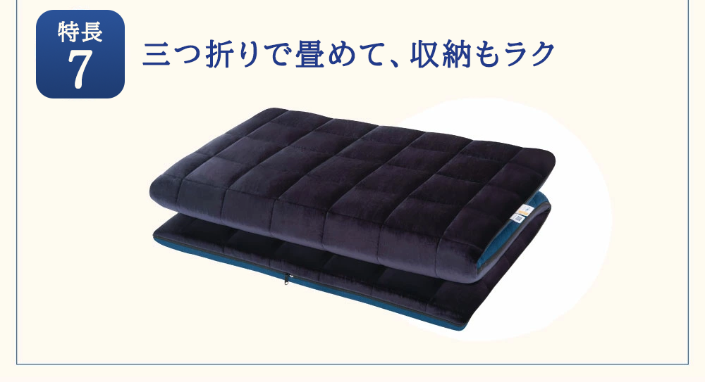 エアウィーヴ 四季布団 和匠・二重奏 シングル サイズ ふとん 敷布団