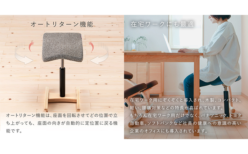 バランス シナジー(カバーなし) 椅子 腰痛 対策 イス バランスラボ