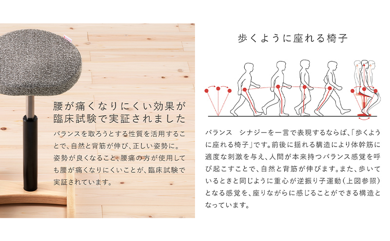 バランス シナジー(カバーなし) 椅子 腰痛 対策 イス バランスラボ