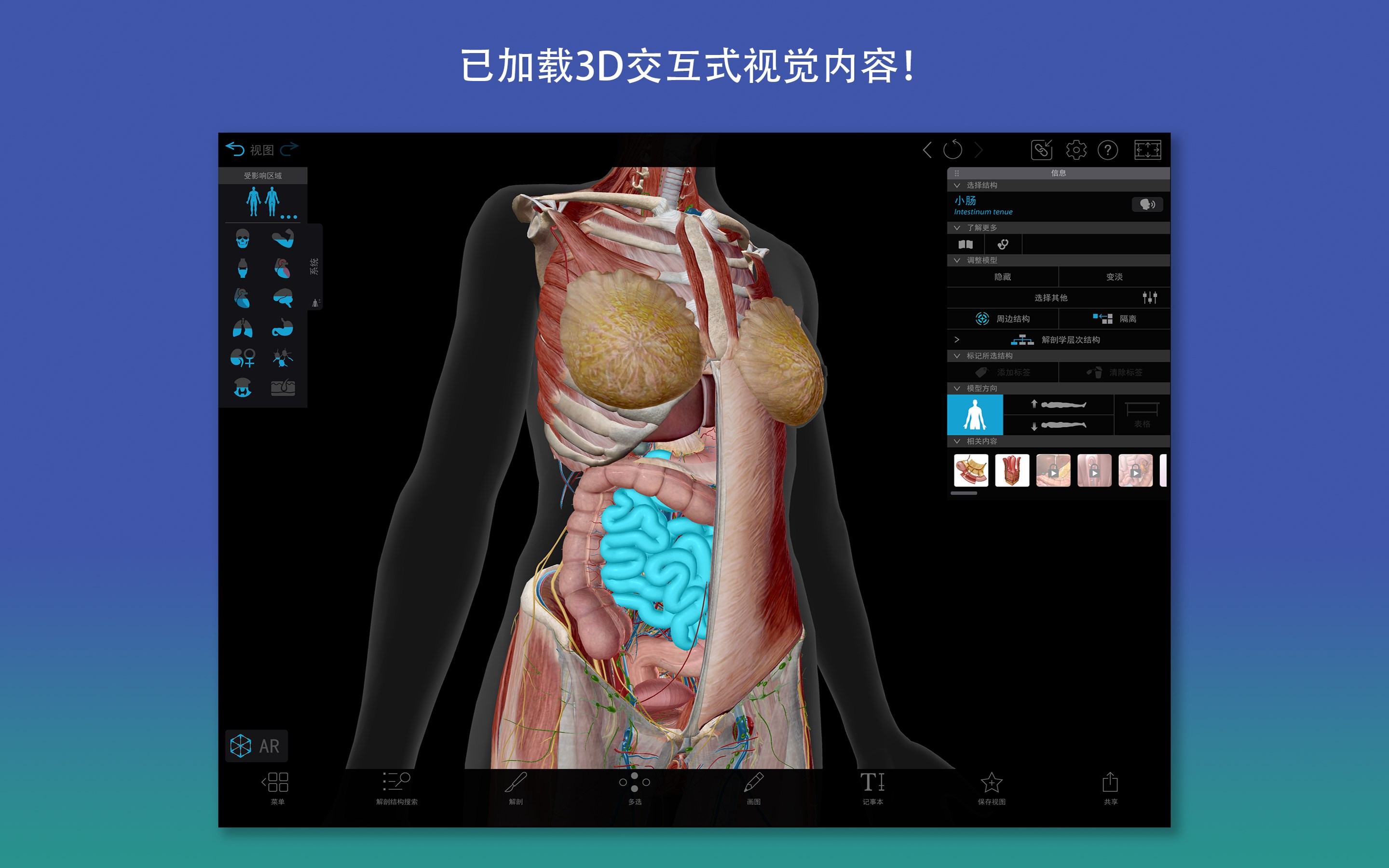 2026人体解剖学图谱：完整的三维人体- Windows官方下载| 微软应用