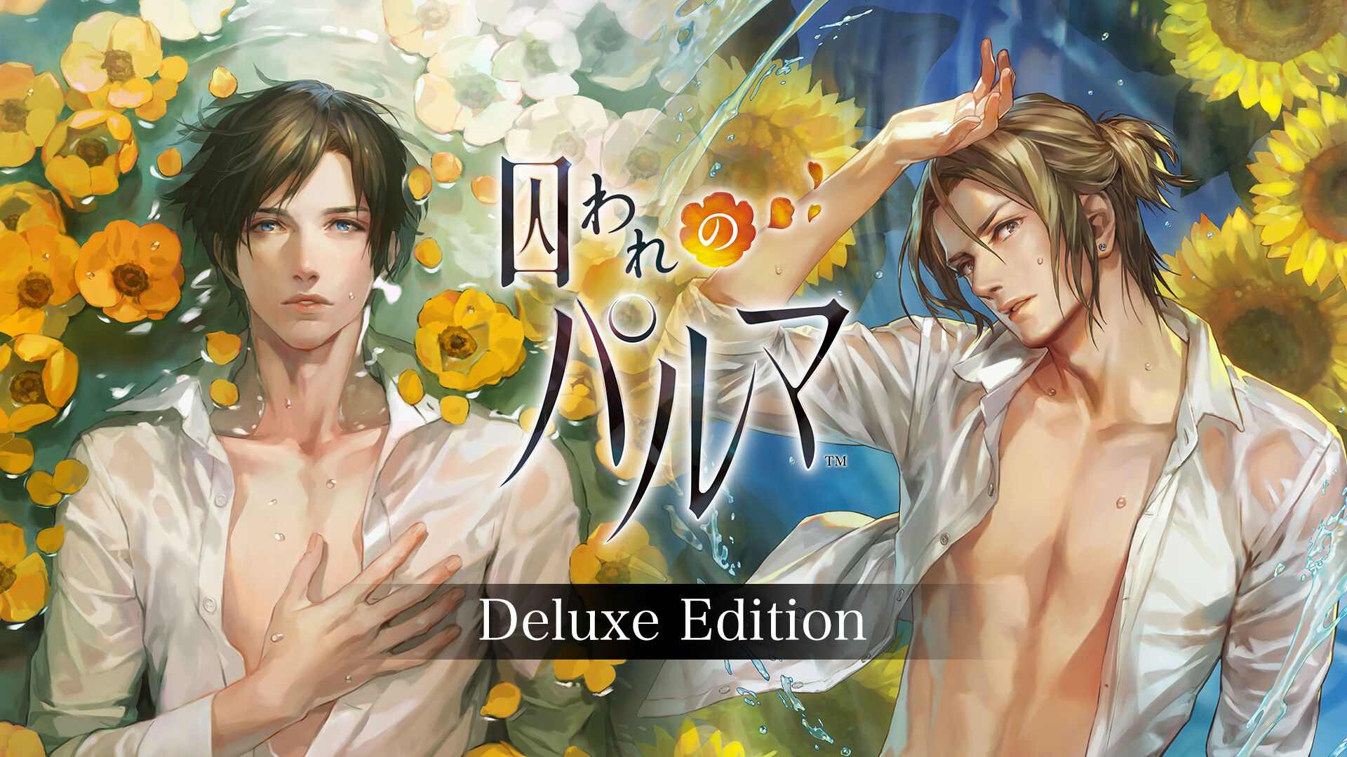 囚われのパルマ デラックス エディション | My Nintendo Store（マイ