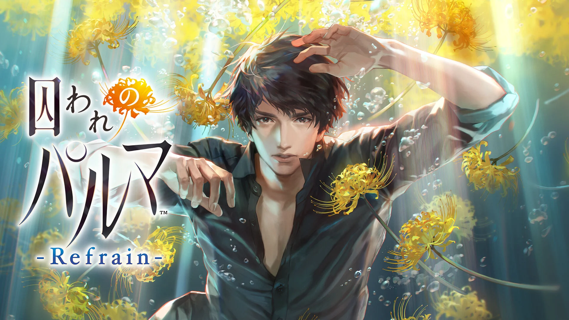 Switch 囚われのパルマ デラックス エディション 囚われのパルマ