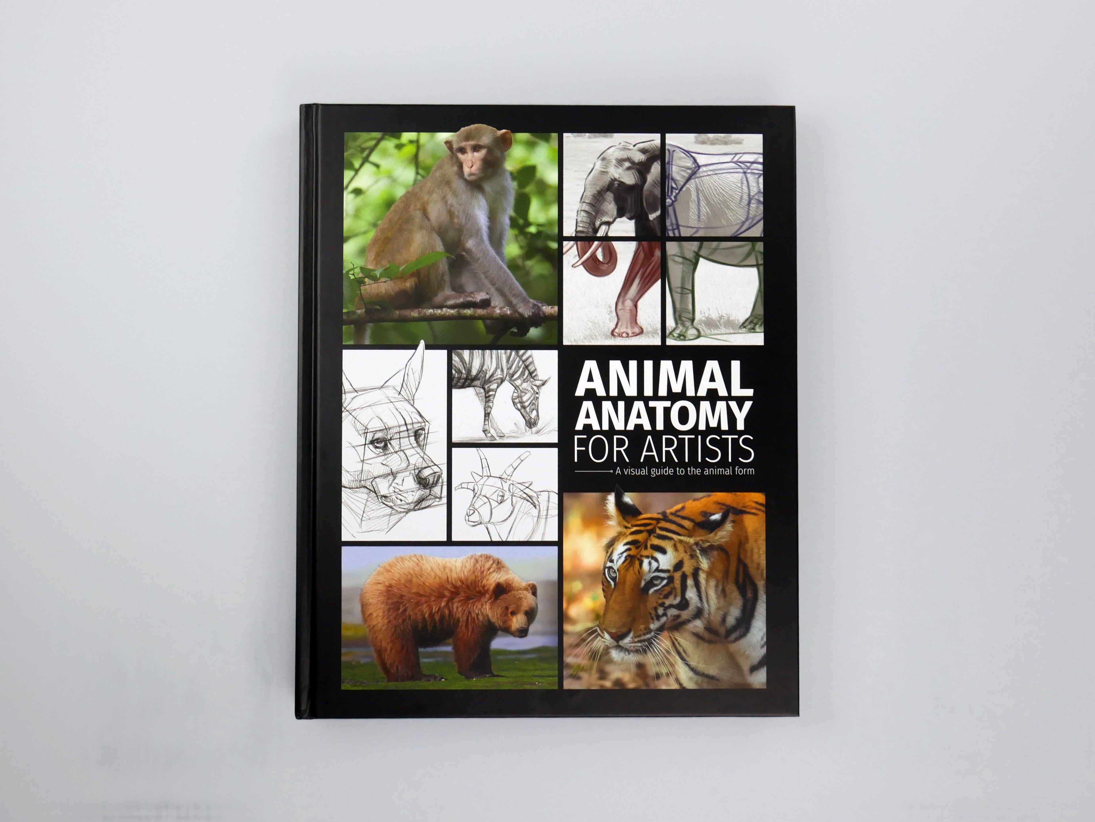 Animal Anatomy for Artists: A visual guide to the animal form