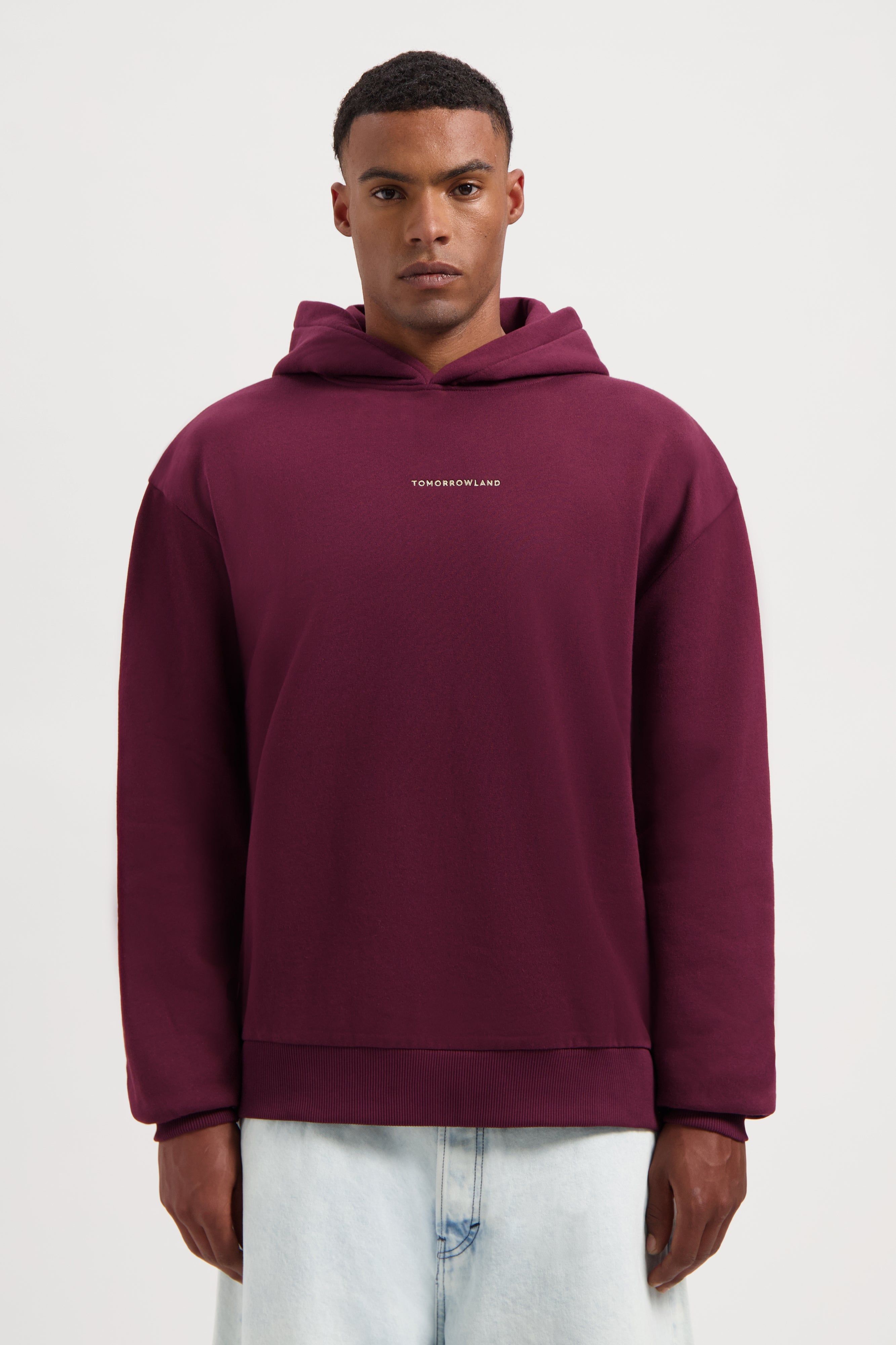 Icon Airship Hoodie Bordeaux - Tomorrowland Store
