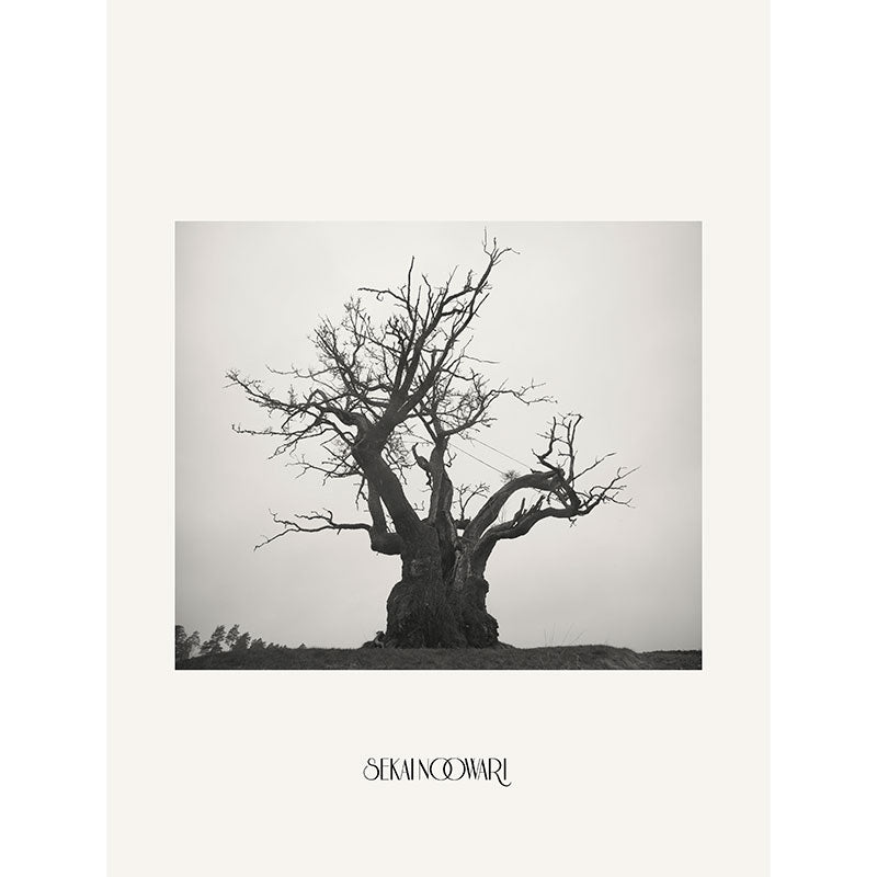 SEKAI NO OWARI 2010-2019 完全生産限定プレミアムBOX 【2CD+DVD+