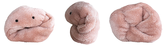 フェア】空想アパートメント カネヒラ作品展 「ぬいぐるみに微笑み