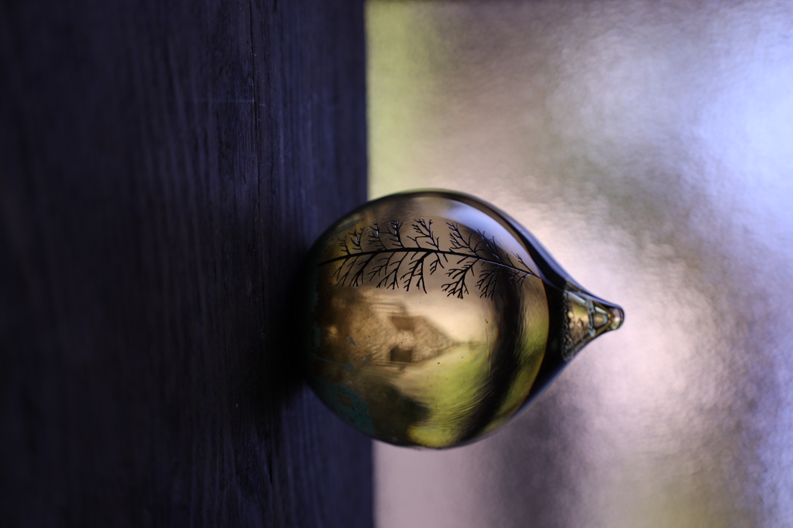 ギャラリーEN シェルフ】金津沙矢香 硝子展 | イベント | 京都岡崎 蔦