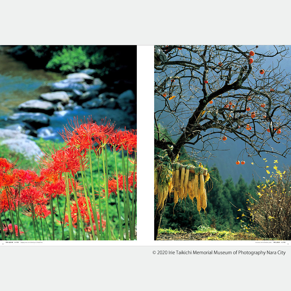 取り寄せ】BIG BOOK 奈良 古色大和路 入江泰吉 発行：CCCアートラボ