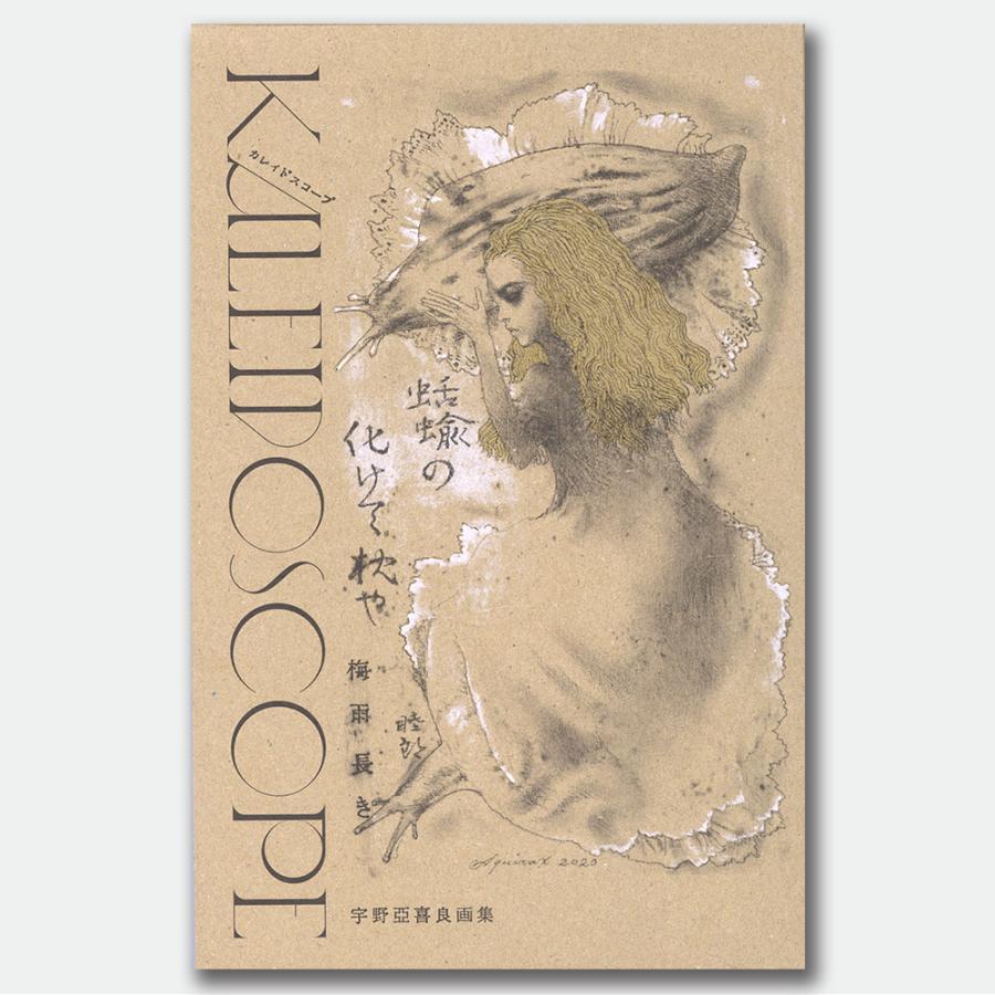 宇野亞喜良 画集 Kaleidoscope 宇野 亞喜良(著/文) -の商品詳細 | 蔦屋