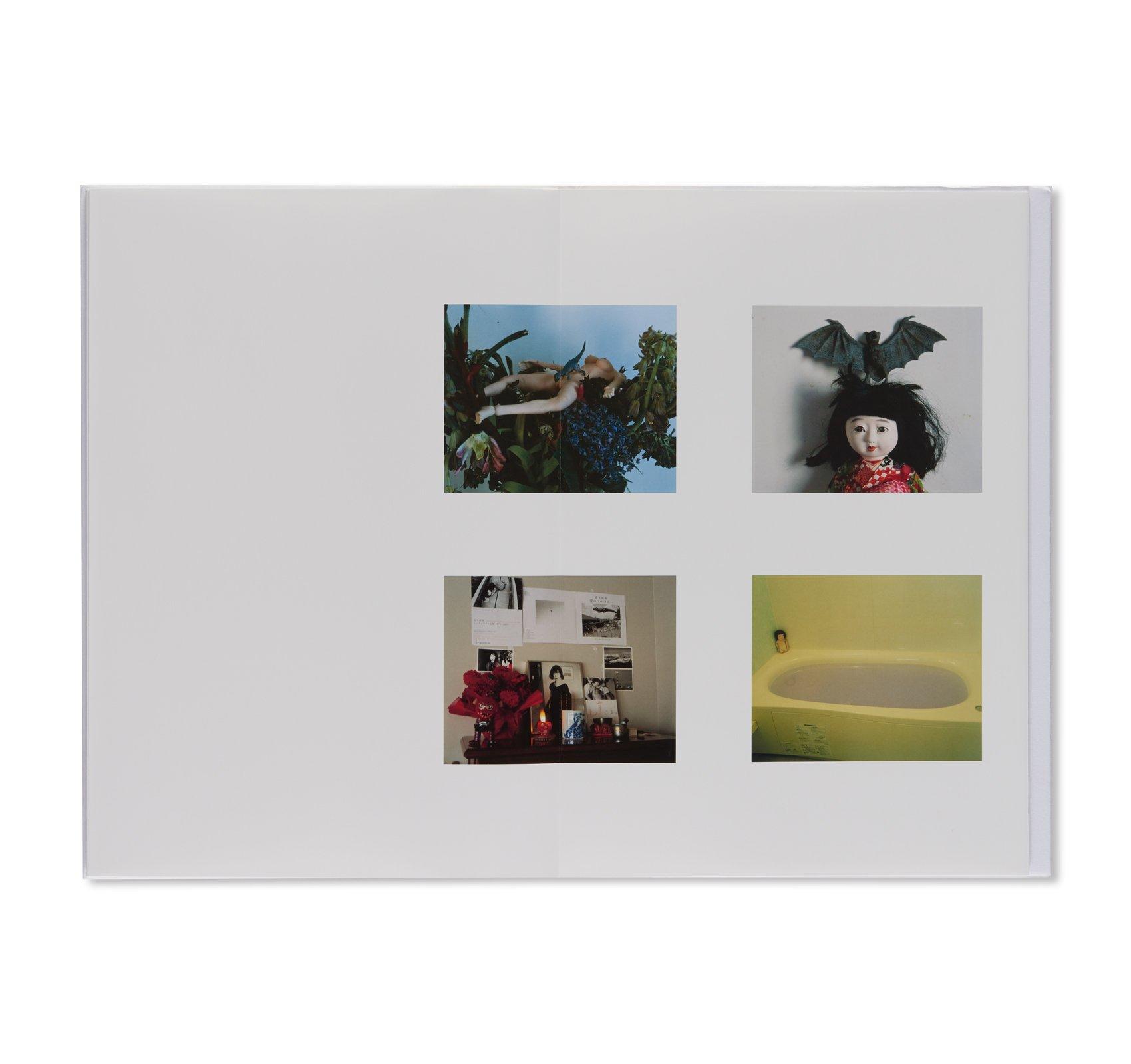 UMEGAOKA ELEGY 梅ヶ丘墓情 荒木経惟 TAKA ISHII GALLERY -の商品詳細