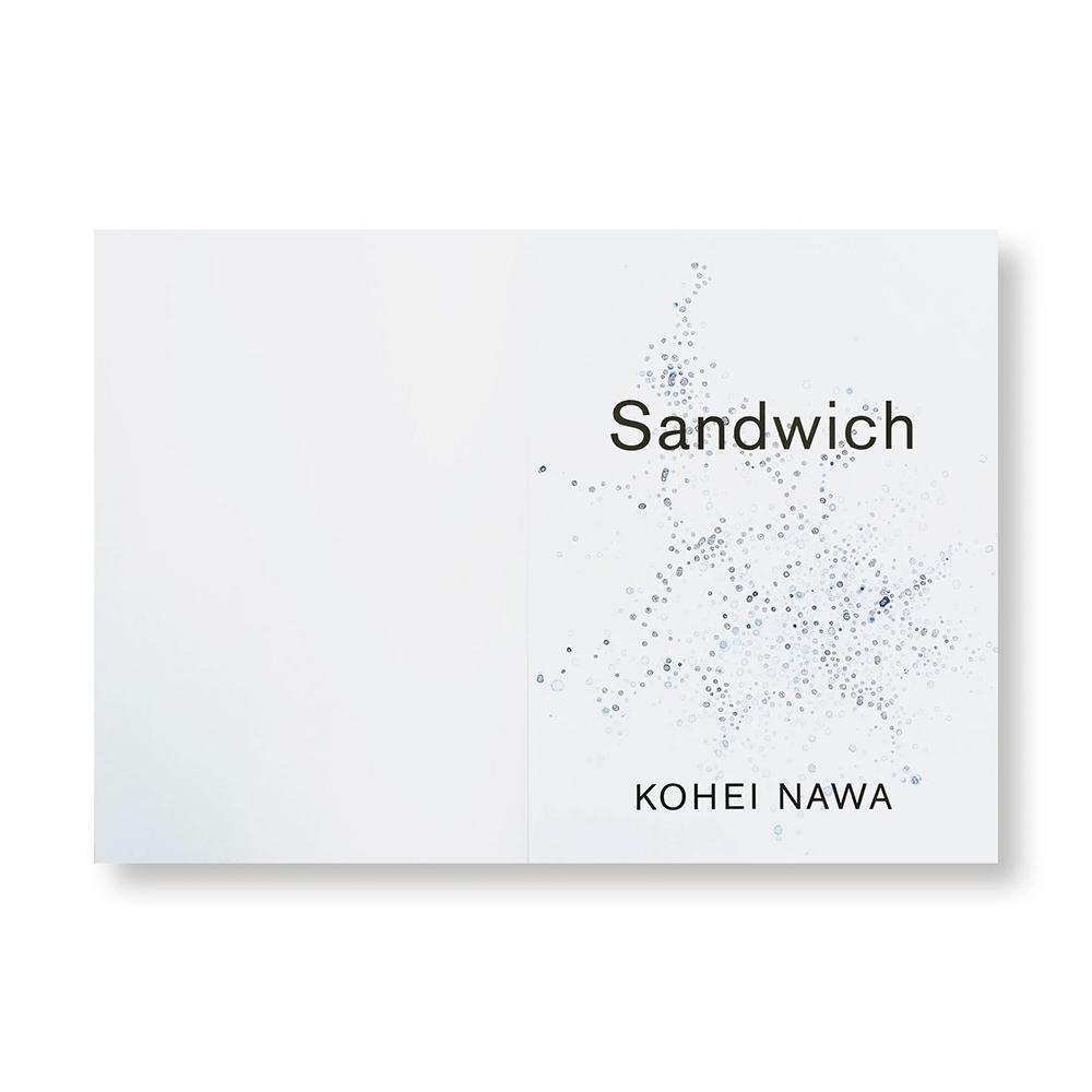 サイン入り】SANDWICH by Kohei Nawa 名和晃平 作品集 -の商品詳細