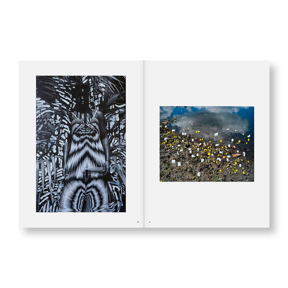 PHOSPHOR by Viviane Sassen ヴィヴィアン・サッセン 写真集