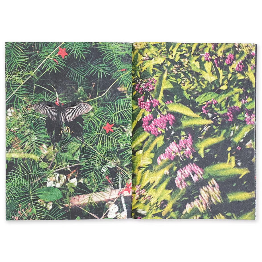 アート・デザイン・音楽 BE L'EAU + zine / Colin Sussingham アート