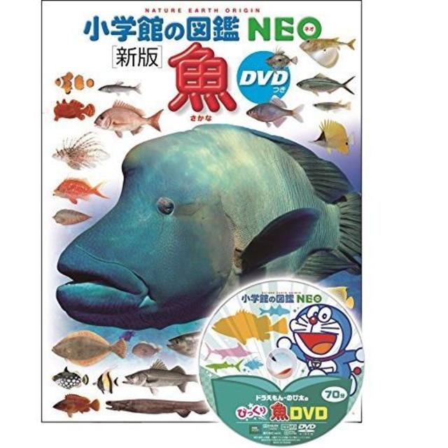 小学館の図鑑NEO〔新版〕 魚 DVDつき』監/井田 齊 監、松浦啓一 写真