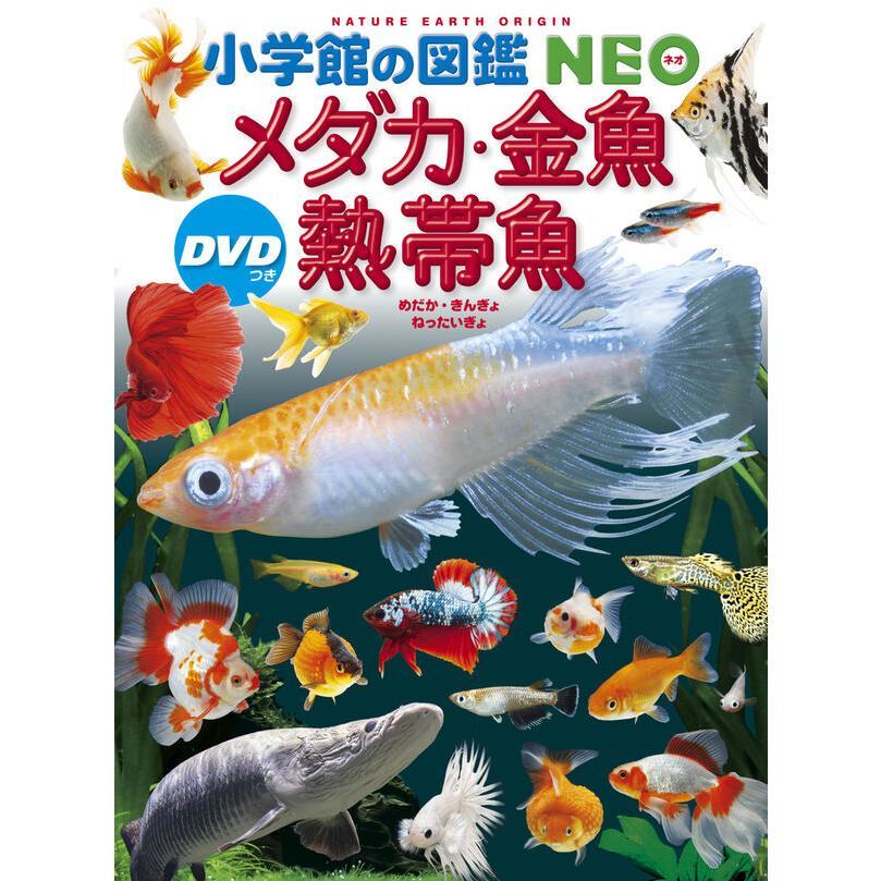小学館の図鑑NEO 30冊セット』【新版】 -の商品詳細 | 蔦屋書店