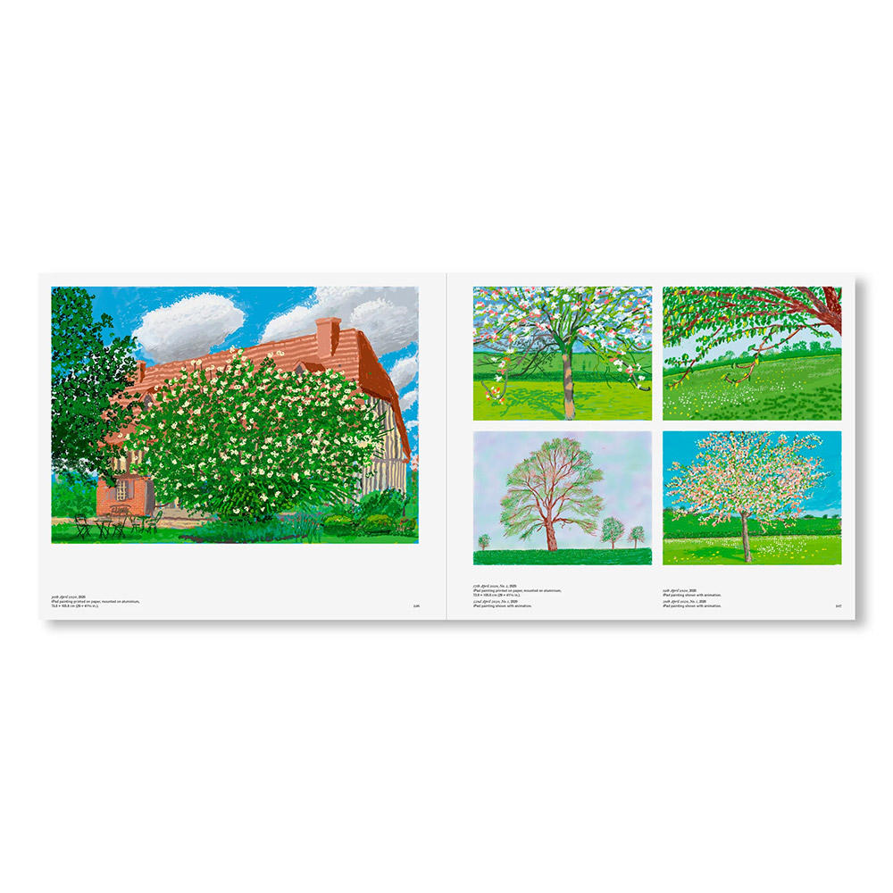 DAVID HOCKNEY by David Hockney（デイヴィッド・ホックニー） 作品集