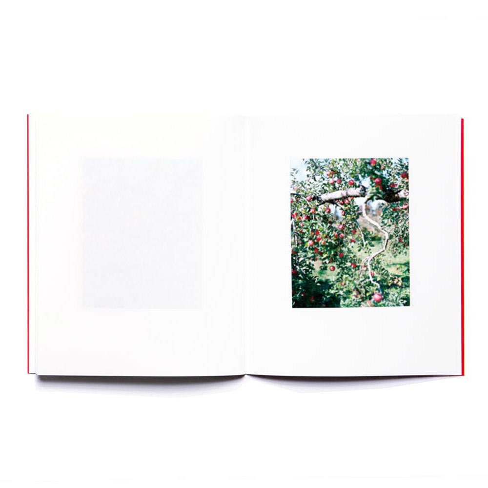 重版】『林檎の木』 上田義彦 写真集 上田義彦 -の商品詳細 | 蔦屋書店